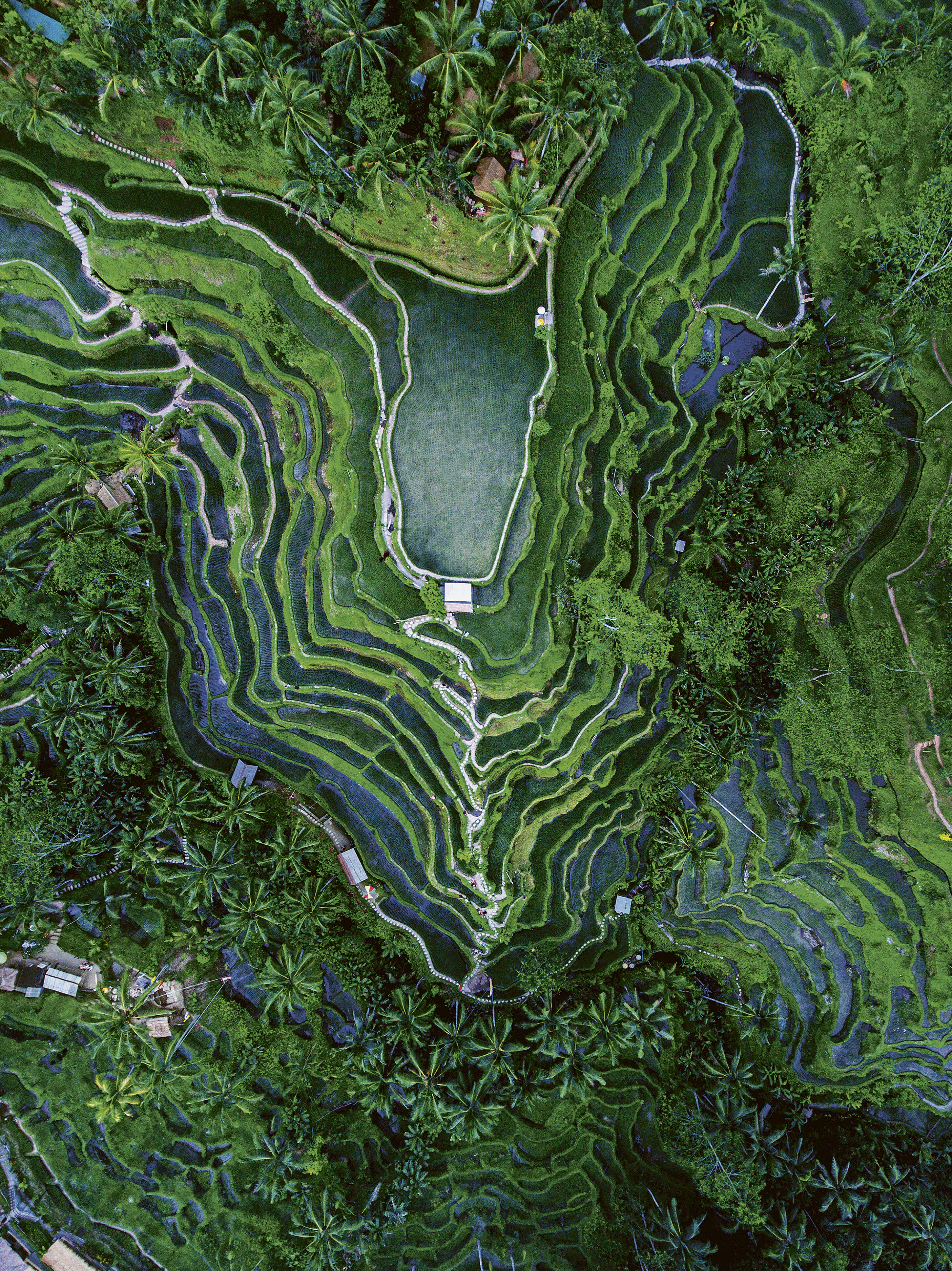 Sense of Wonder: The Earth from above
